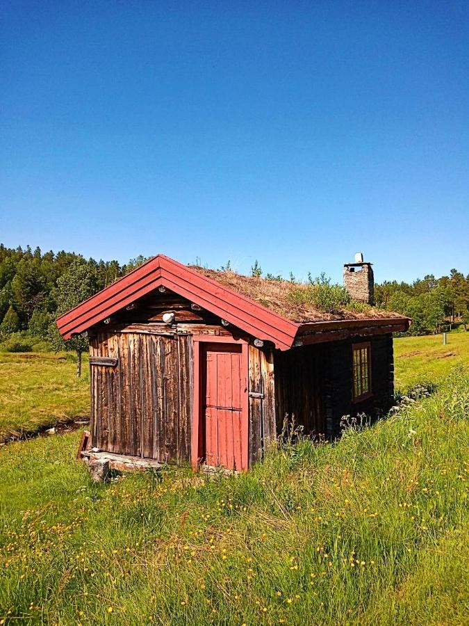 Rondane Friluftssenter Rondetunet Brenn المظهر الخارجي الصورة