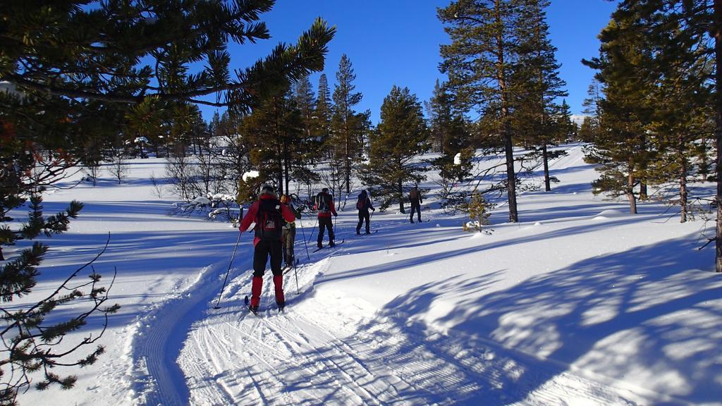Rondane Friluftssenter Rondetunet Brenn المظهر الخارجي الصورة
